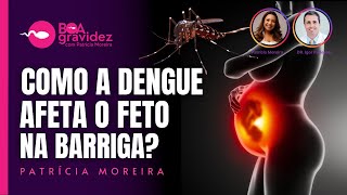 DENGUE  O que a dengue pode causar para o feto [upl. by Ecnahc]