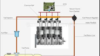 Multi Point Fuel Injection System MPFI0001 0502 [upl. by Avaria]