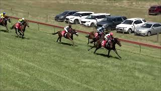 Tumbarumba 27 01 2024 Race 2 [upl. by Rubin]