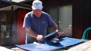 How to Fillet a Salmon and Prepare it for Smoked Salmon Recipe [upl. by Balkin514]