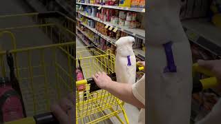 Shopping with cockatoo in Pittsburgh [upl. by Nirro]