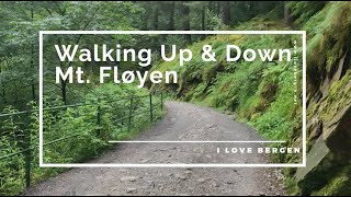 Walking up and down Mount Fløyen in Bergen Norway Know Before You Go [upl. by Eceerahs810]