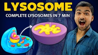 चाह कर नही भूल पाओगे  Lysosomes in Hindi [upl. by Maeve]