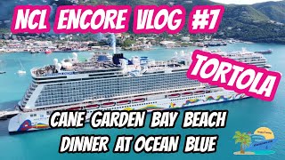 NCL ENCORE VLOG 7  TORTOLA  CANE GARDEN BAY BEACH  OCEAN BLUE [upl. by Lledroc90]