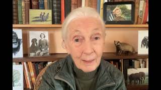 Dr Jane Goodalls greeting to the Green Gathering at The 81st Convention of The Episcopal Church [upl. by Beatrice]