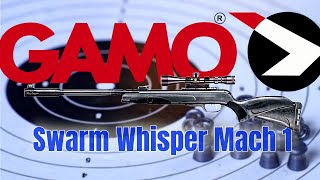 The Gamo Whisper Fusion Mach 1 [upl. by Wenz]