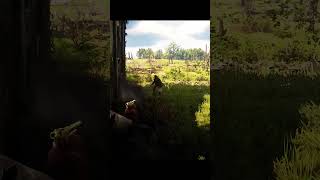 RDR2 Badass Stealth Kills shorts rdr2 stealth [upl. by Latsyrk]