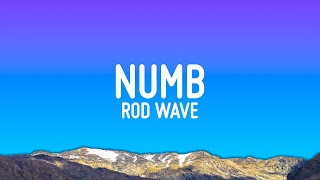 Rod Wave  Numb Lyrics [upl. by Mehetabel]