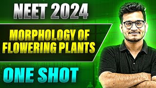 MORPHOLOGY OF FLOWERING PLANT in 1 Shot FULL CHAPTER COVERAGE TheoryPYQs  Prachand NEET [upl. by Mozza522]