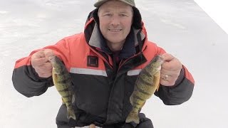 How to Ice Fish for Perch  Ice Fishing Jigging Tips and Tricks [upl. by Angeline]