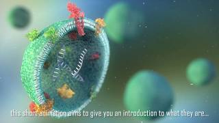 Extracelluar vesicles an introduction [upl. by Cos]