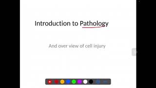 🔥Pathology Course  Lecture 1 Introduction To Pathology [upl. by Daeriam]