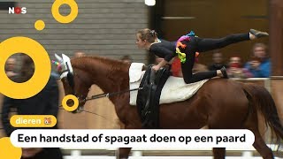 Dit is voltige turnen op de rug van een paard [upl. by Orr]