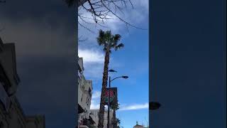 B2 Bomber flies over the Rose Bowl Parade [upl. by Halliday]