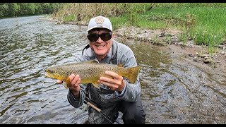 Fly Fishing the quotSTRETCHquot on North Central PAs quotPINE CREEKquot [upl. by Norehc]