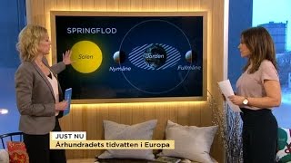 Väderspecial Det här är quotårhundrandets tidvattenquot  Nyhetsmorgon TV4 [upl. by Stig]