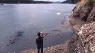 orca whales galiano island june 20th 2014 [upl. by Anreval93]