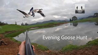 Goose HuntLast light chaos [upl. by Nidia]