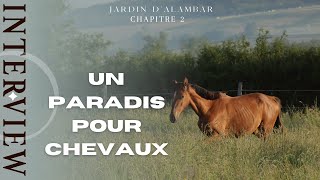 PADDOCK PARADISE  Jardin dAlambar [upl. by Harneen]