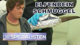 ElfenbeinSchmuggel im Kinderwagen Zoll stoppt Täter  Die Spezialisten  SAT1 [upl. by Rhett743]