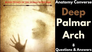 Deep Palmar Arch Anatomy 8 QA [upl. by Ailalue]