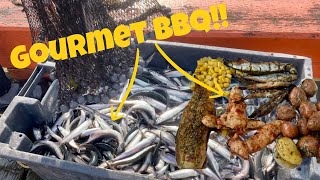 Catch amp Cook BBQ MACKEREL amp CAPELIN From Newfoundland’s Ocean   MILLIONS of CAPELIN [upl. by Nadabus839]