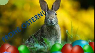 Der Osterhase erklärt wann Ostern ist 🐰 und wünscht quotFROHE OSTERNquot  Ostergrüße [upl. by Fredenburg]