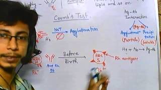 Coombs Test Principle Types Procedure Interpretation  Coombs test Direct and Indirect [upl. by Gignac487]