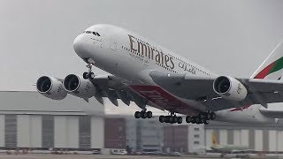 Airbus A380 Emirates Airlines  Take Off and Landing [upl. by Adnic]