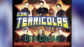 LOS TERRICOLAS DOS COSAS  KARAOKE [upl. by Galang]