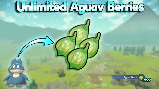 Fastest Ways To Get Aguav Berries In Pokemon Legends Arceus [upl. by Inafets]