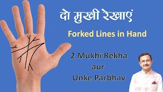 दो शाखा वाली रेखाओं का फल कैसे करें  2 mukhi rekha  biforked  lines on palm and their effects [upl. by Nicolle]