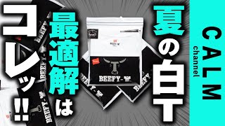 【白T】【HANES】夏本番！白TはヘインズビーフィーTが最適解だった！毎日着れる＆1枚着で雰囲気でる！夏のTシャツ悩まなくて済む！！ [upl. by Atiuqaj]