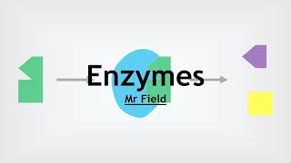 GCSE Biology 05  Enzymes [upl. by Noletta349]