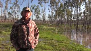 North West Victoria Wetland Tour  8th October 2016 [upl. by Ozmo]