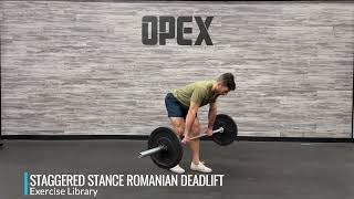 Staggered Stance Romanian Deadlift [upl. by Meador]