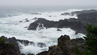 Sonido de Lluvia y Olas del Mar para Dormir y Relajarse  Meditación [upl. by Arlina]