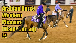 Arabian Western Pleasure Championship  Scottsdale Arabian Horse Show [upl. by Inerney]