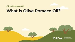 Jivo Pomace Olive Oil  Jivo Wellness [upl. by Duck]