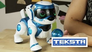 Teksta Robotic Puppy  Teksta Piesek Interaktywny [upl. by Imik]