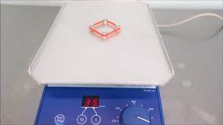 IKA MTS 24 Digital Microtiter Plate Shaker [upl. by Ylrebmek52]