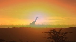 Kenia  Trailer Schulfilm Geographie [upl. by Garmaise]