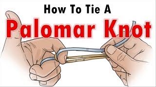 How To Tie A Fishing Knot How To Tie A Palomar Knot [upl. by Dora]