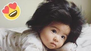 Meet Baby Chanco The Internet’s New Mane Attraction [upl. by Lorraine]