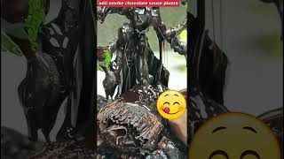 youtubeshorts video world new fusion of chocolateamp mint🌿 plant🌱 how to make it happen again [upl. by Klecka476]