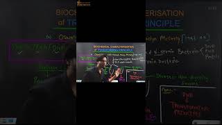 Biochemical Characterisation of Transforming Principle Molecular Basis of Inheritance  Class 12 [upl. by Cuttler42]