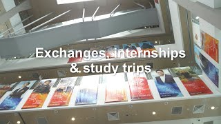 MBA Exchange and Internships  NUS MBA Spark Your Transformation [upl. by Dhu212]