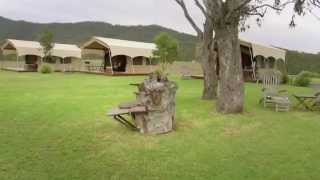 SPICERS CANOPY [upl. by Eyanaj493]