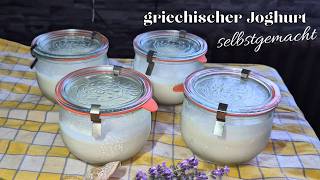 Griechischer Joghurt mit nur 2 Zutaten einfach selber machen spart Geld 143 [upl. by Oniotna]