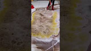 carpertcleaningwithheavyfoam very dirty carpet cleaning with hand shorts carpetcleaning [upl. by Naivart954]